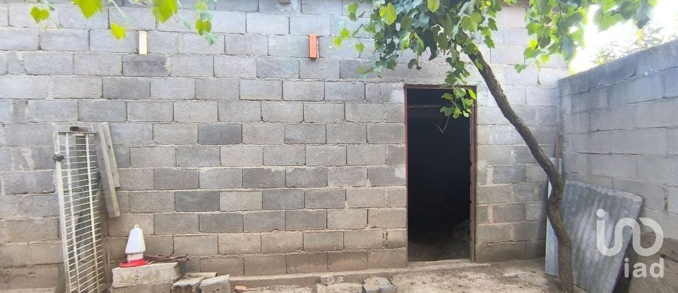 Armazém T0 em Orgens de 110 m²