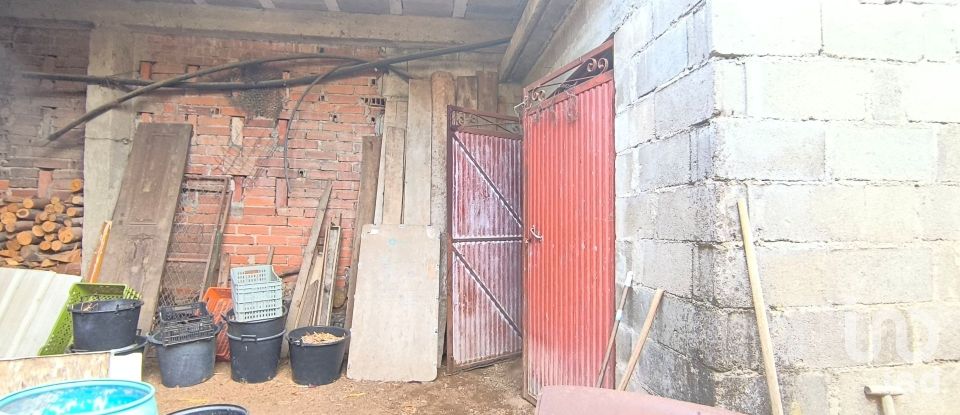 Armazém T0 em Orgens de 110 m²