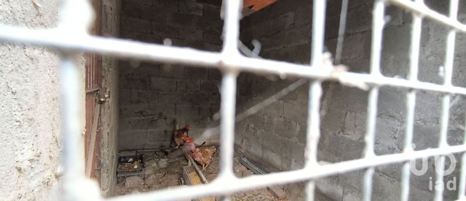 Armazém T0 em Orgens de 110 m²