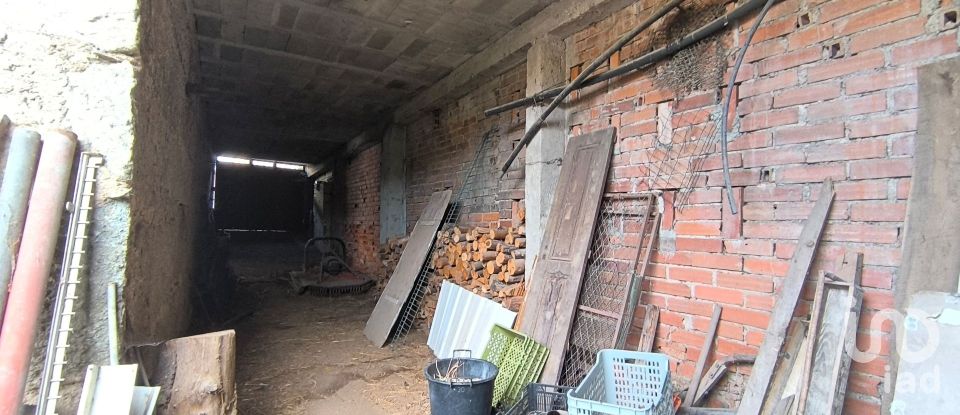 Armazém T0 em Orgens de 110 m²