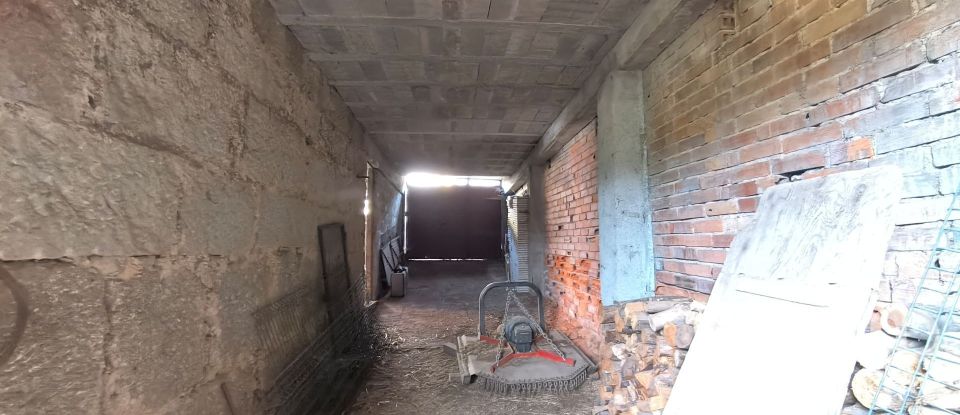 Armazém T0 em Orgens de 110 m²