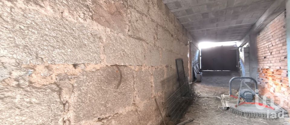 Armazém T0 em Orgens de 110 m²