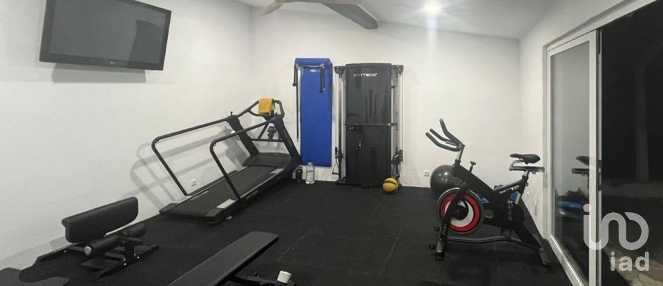 Quinta T3 em Silves de 299 m²