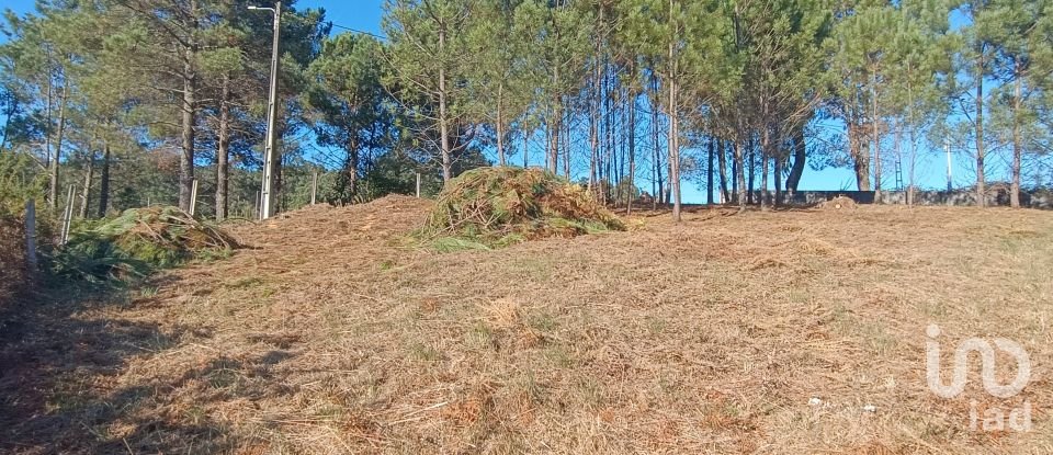 Terreno urbano em Reboreda e Nogueira de 760 m²