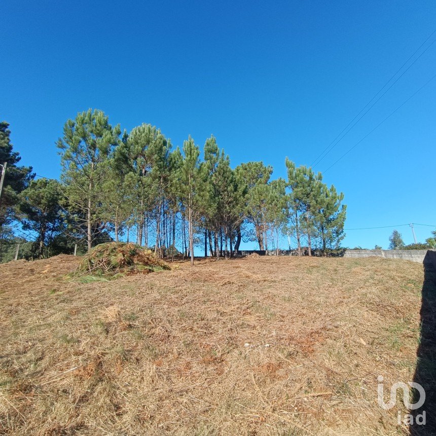 Terreno urbano em Reboreda e Nogueira de 760 m²