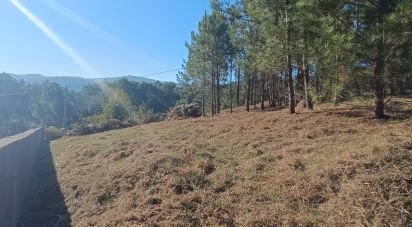 Building plot in Reboreda e Nogueira of 760 m²