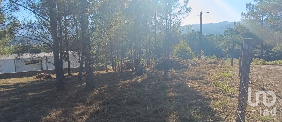 Terreno urbano em Reboreda e Nogueira de 760 m²