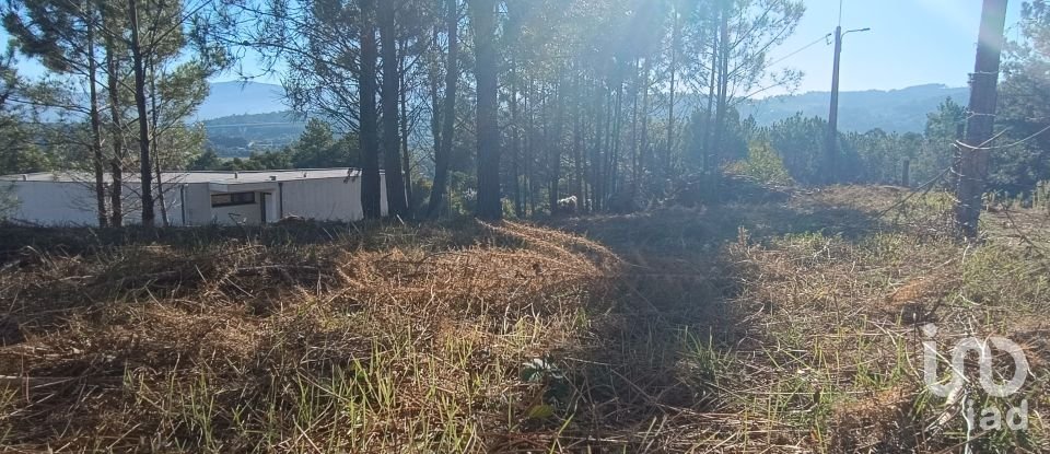 Terreno urbano em Reboreda e Nogueira de 760 m²