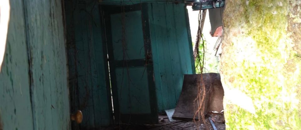 Moradia T3 em Vila Marim de 176 m²