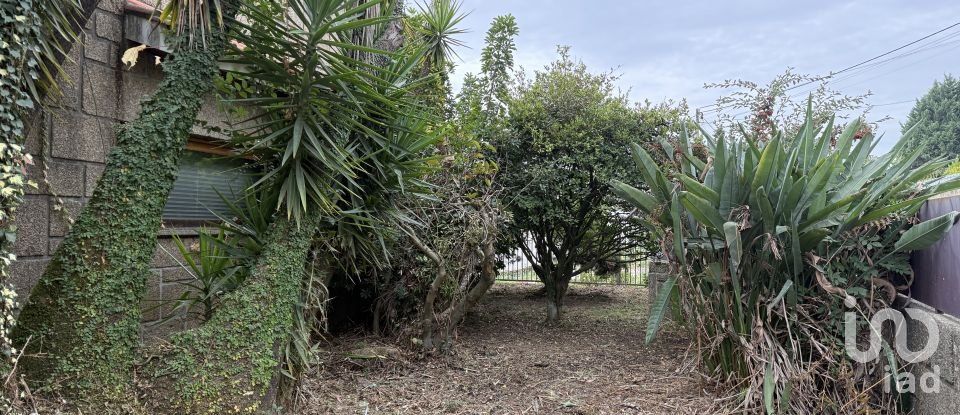 Moradia T3 em Vila Marim de 176 m²