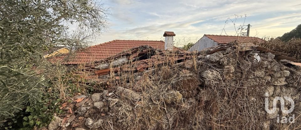 Moradia T3 em Vila Marim de 176 m²