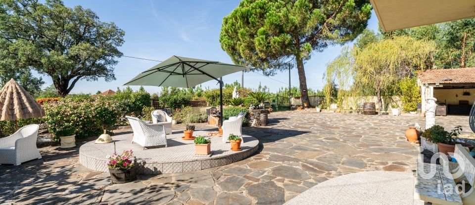 Moradia T3 em Pedrógão Grande de 169 m²