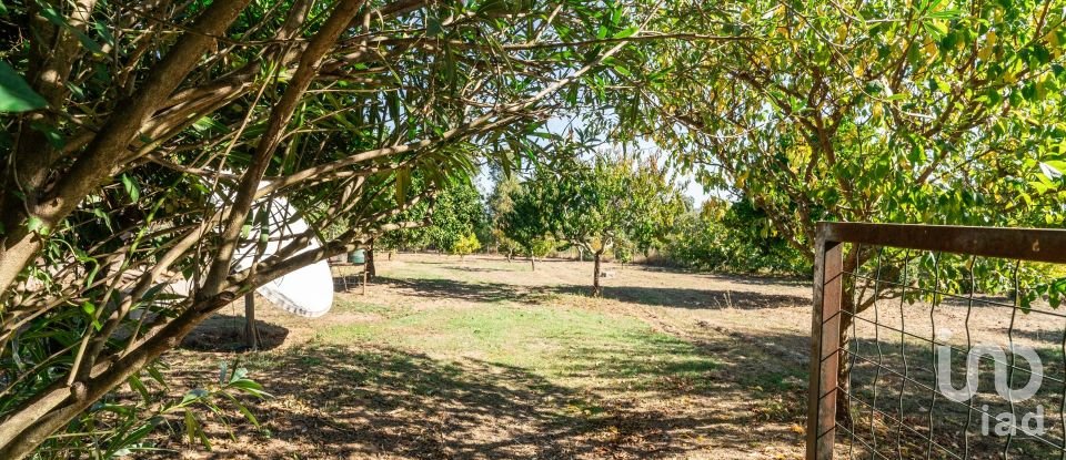 Moradia T3 em Pedrógão Grande de 169 m²