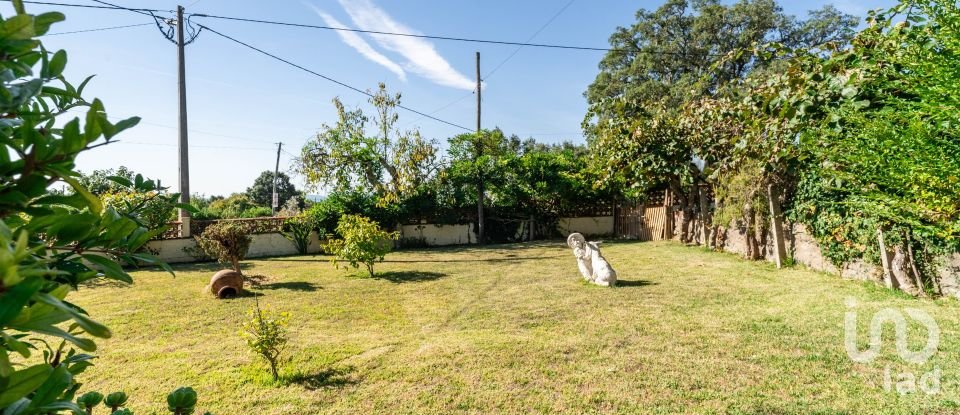 Moradia T3 em Pedrógão Grande de 169 m²