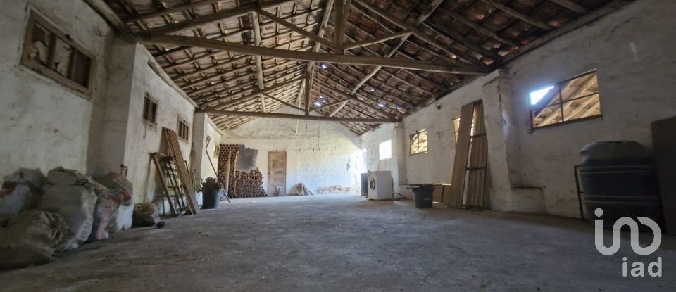 Moradia T3 em Alcobertas de 553 m²