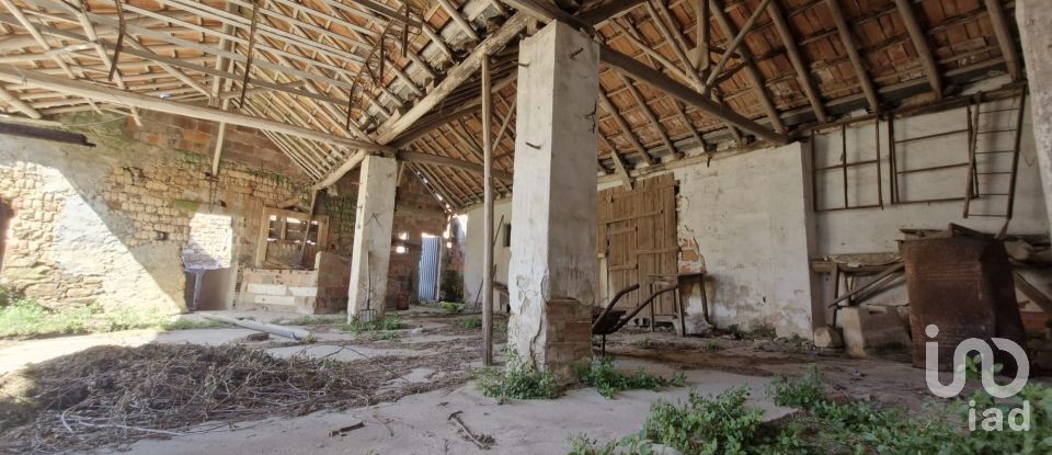 Moradia T3 em Alcobertas de 553 m²