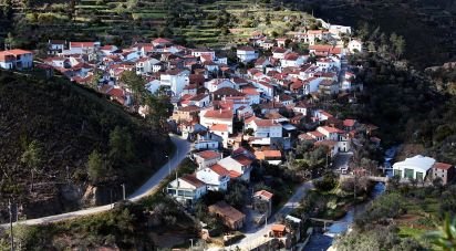 Moradia T1 em Sobreira Formosa e Alvito da Beira de 36 m²