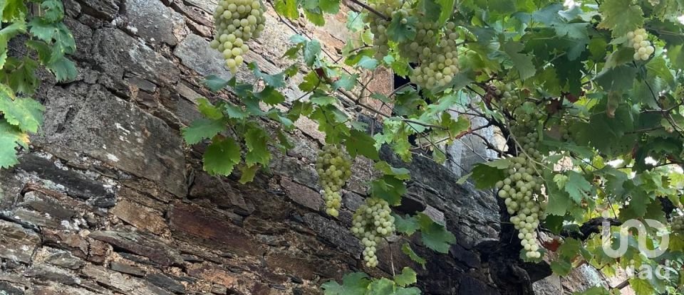 Moradia T1 em Sobreira Formosa e Alvito da Beira de 36 m²