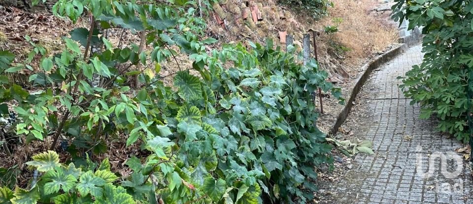 Moradia T1 em Sobreira Formosa e Alvito da Beira de 36 m²