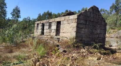 Ferme T0 à Vila Boa de Quires e Maureles de 98 m²