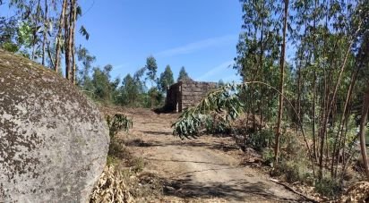 Ferme T0 à Vila Boa de Quires e Maureles de 98 m²