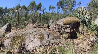 Ferme T0 à Vila Boa de Quires e Maureles de 98 m²