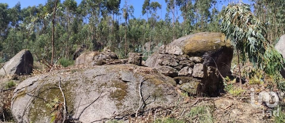 Quinta T0 em Vila Boa de Quires e Maureles de 98 m²