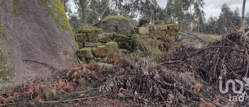 Quinta T0 em Vila Boa de Quires e Maureles de 98 m²