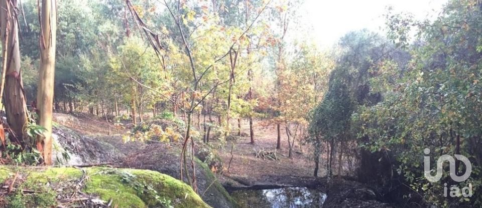 Quinta T0 em Vila Boa de Quires e Maureles de 98 m²