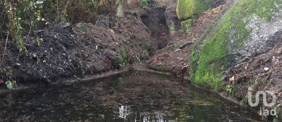 Quinta T0 em Vila Boa de Quires e Maureles de 98 m²