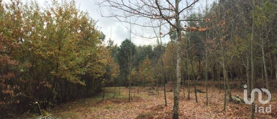 Quinta T0 em Vila Boa de Quires e Maureles de 98 m²