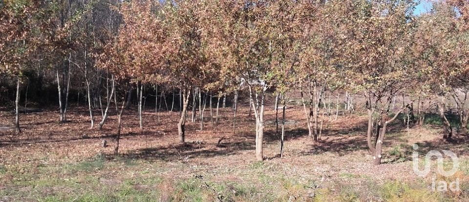 Quinta T0 em Vila Boa de Quires e Maureles de 98 m²