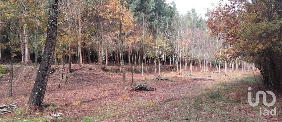 Quinta T0 em Vila Boa de Quires e Maureles de 98 m²