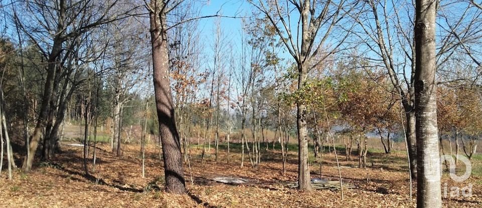 Quinta T0 em Vila Boa de Quires e Maureles de 98 m²