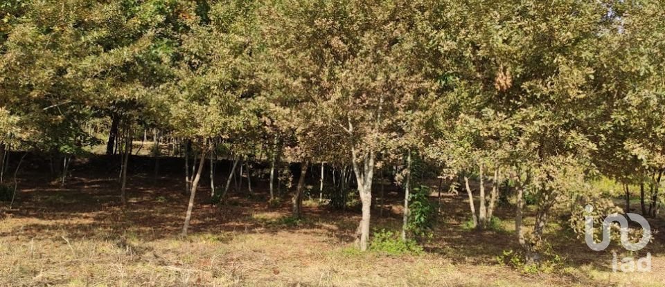 Quinta T0 em Vila Boa de Quires e Maureles de 98 m²