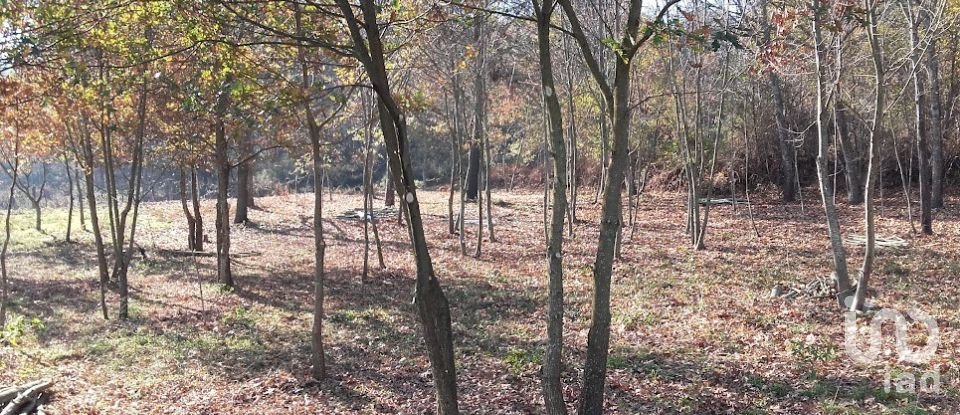 Quinta T0 em Vila Boa de Quires e Maureles de 98 m²