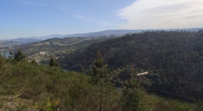 Terrain à Vila Boa de Quires e Maureles de 12 000 m²