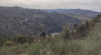 Terrain à Vila Boa de Quires e Maureles de 12 000 m²