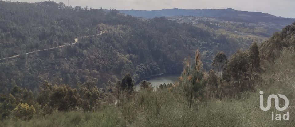 Terreno em Vila Boa de Quires e Maureles de 12 000 m²