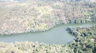 Terrain à Vila Boa de Quires e Maureles de 12 000 m²