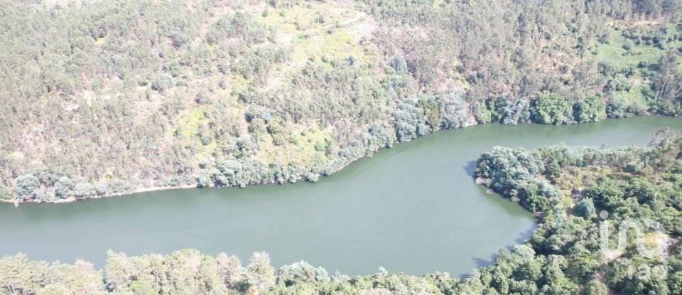 Terreno em Vila Boa de Quires e Maureles de 12 000 m²