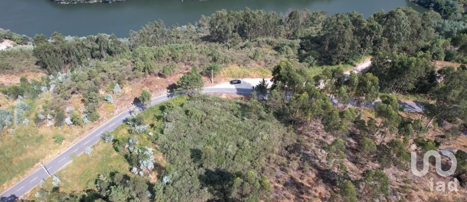 Terreno em Vila Boa de Quires e Maureles de 12 000 m²