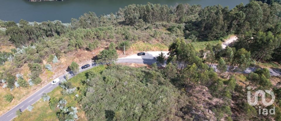 Terreno em Vila Boa de Quires e Maureles de 12 000 m²