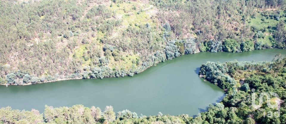 Terreno em Vila Boa de Quires e Maureles de 12 000 m²