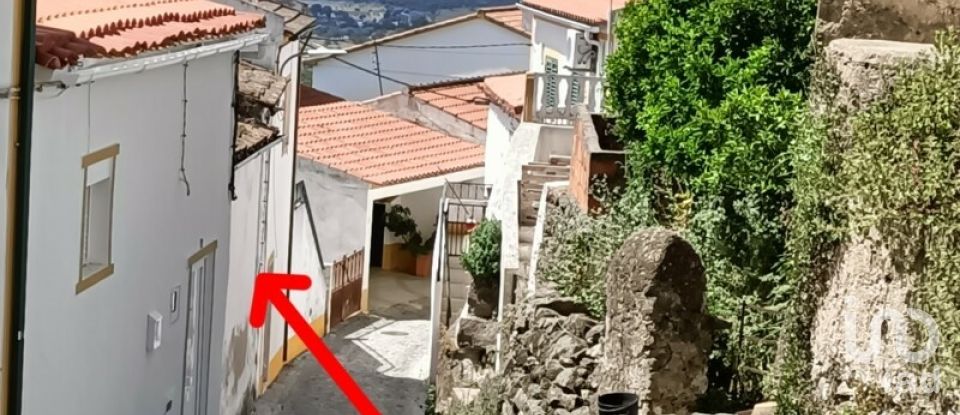 House T1 in Ribeira de Nisa e Carreiras of 36 m²