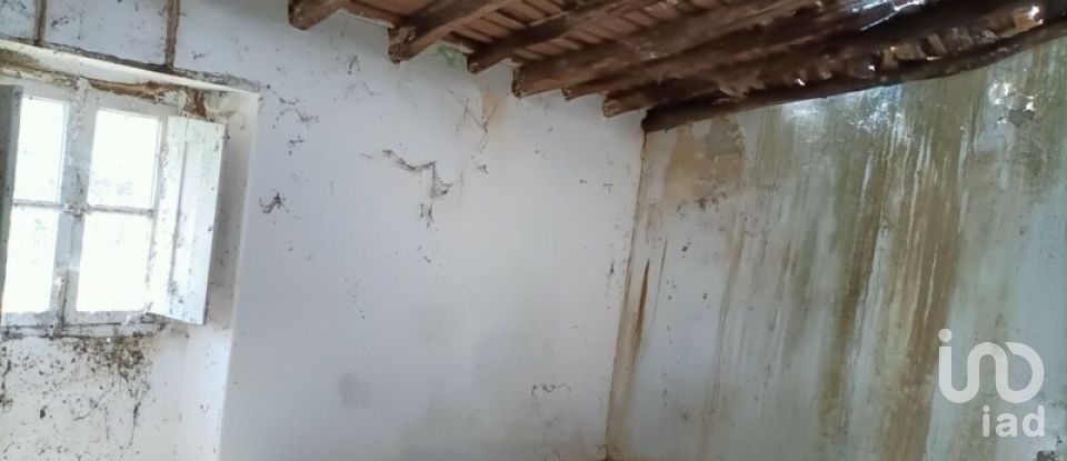 House T1 in Ribeira de Nisa e Carreiras of 36 m²