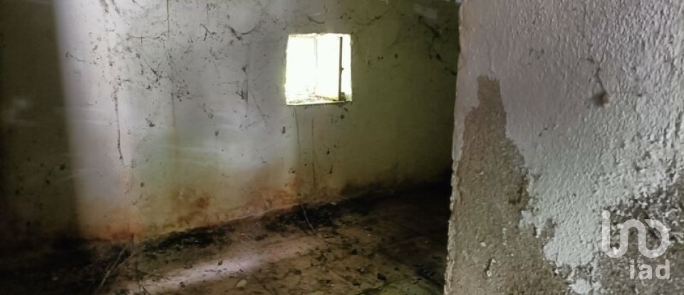 House T1 in Ribeira de Nisa e Carreiras of 36 m²