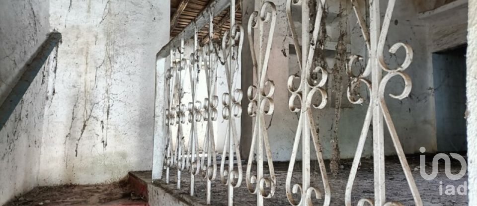 House T1 in Ribeira de Nisa e Carreiras of 36 m²