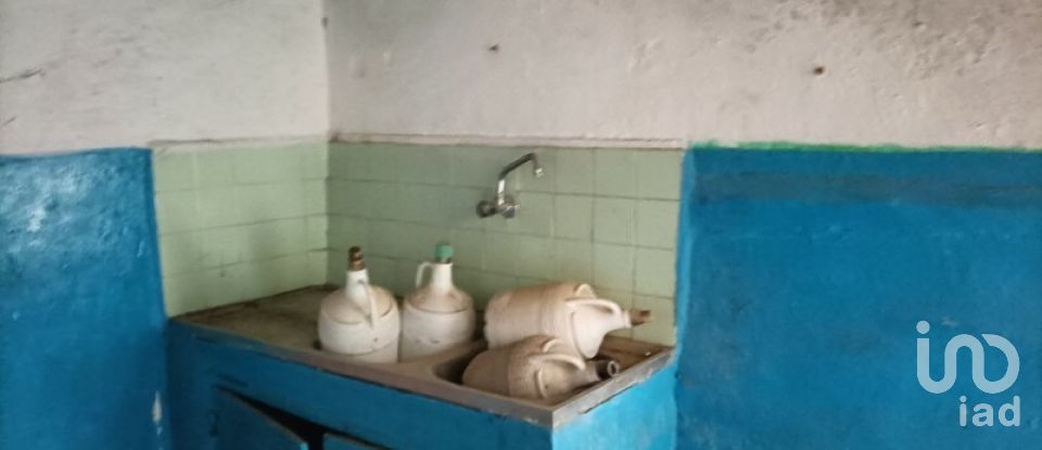 House T1 in Ribeira de Nisa e Carreiras of 36 m²