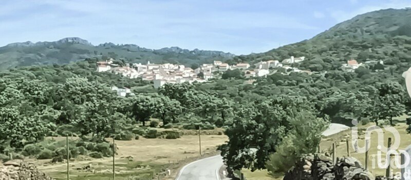 House T1 in Ribeira de Nisa e Carreiras of 36 m²